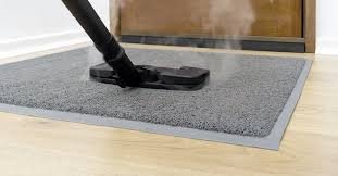 how to clean a moldy coir mat