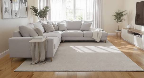 rug size guide India